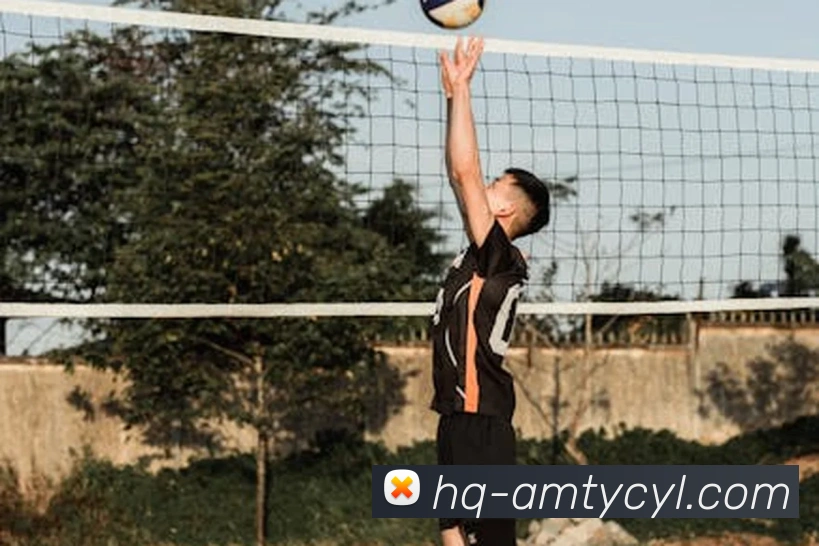 太阳城网站发展历程